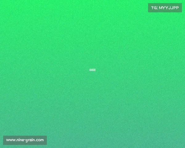 网鱼赛事 网鱼赛事